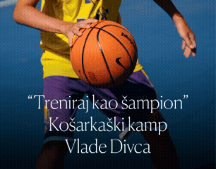 1784042692-Divac 306x240.gif